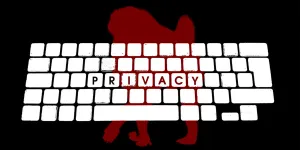 ICYMI After the Bell🔔: What is the connection between baboons and your right to privacy?
